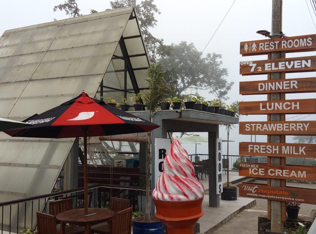 Olive view point Haputale Discover Sri Lanka