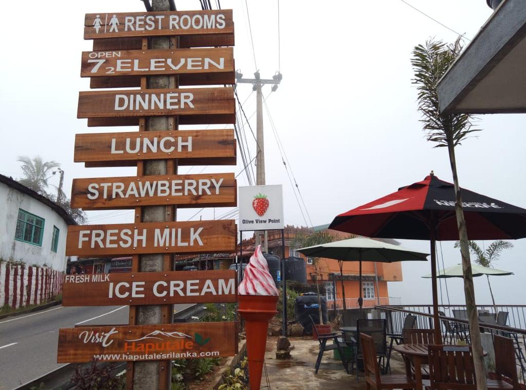 Olive view point Haputale Discover Sri Lanka